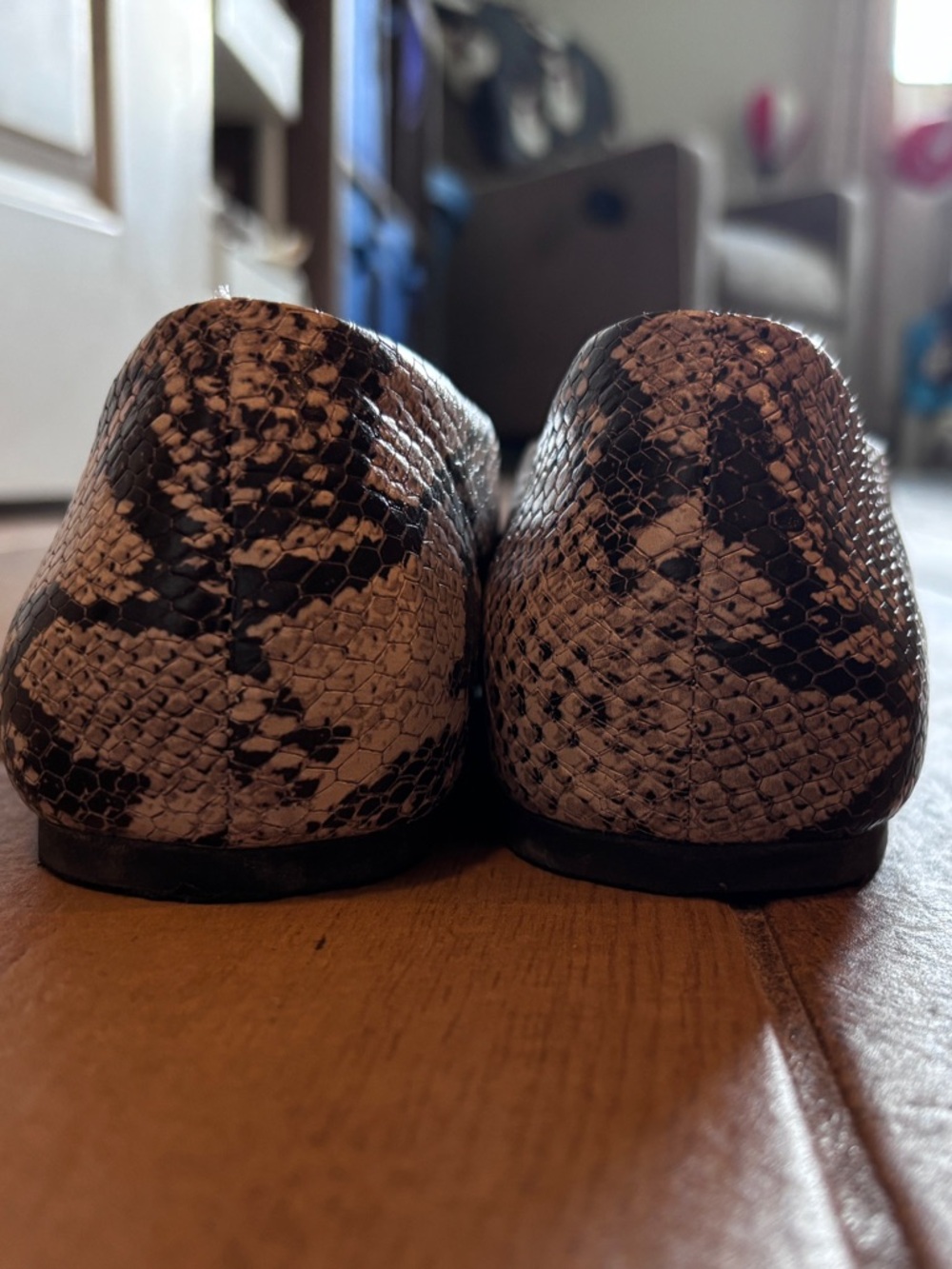 Steve Madden Snake-Print Pointed Toe Flats in Neutral Tones - Picture 3 of 3